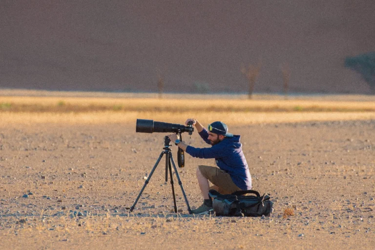 Compare Wildlife Photography Options: The 2026 Definitive Pillar Guide